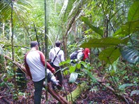 Экскурсия в джунгли1